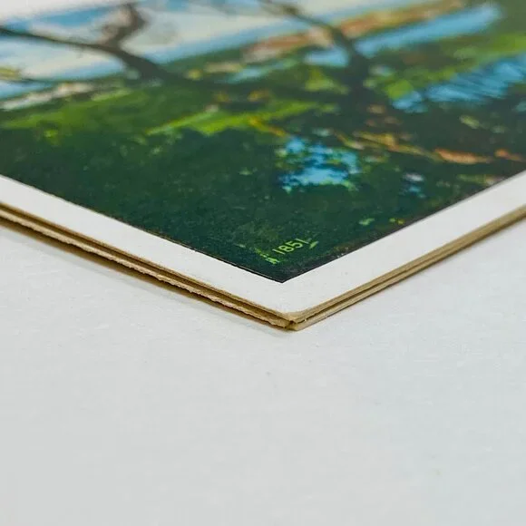 Genuine Antique 1920s Stanford University Memorabilia Postcards - Picture 10 of 13